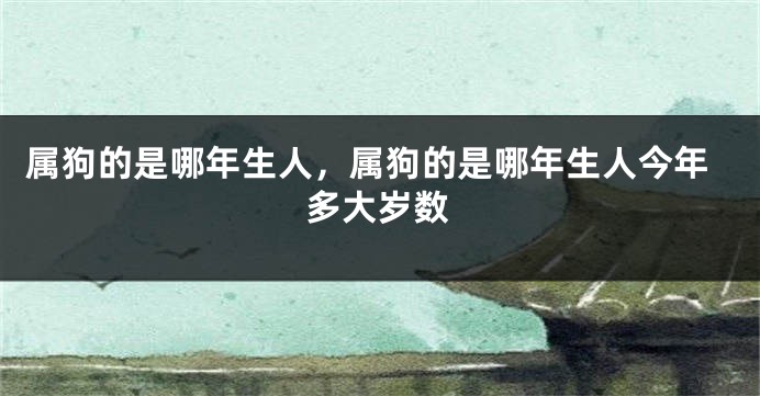 属狗的是哪年生人，属狗的是哪年生人今年多大岁数