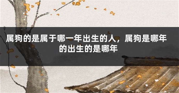 属狗的是属于哪一年出生的人，属狗是哪年的出生的是哪年