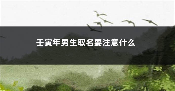 壬寅年男生取名要注意什么