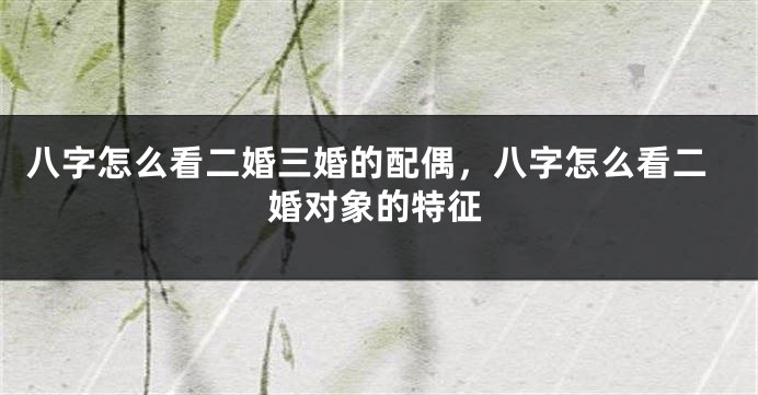 八字怎么看二婚三婚的配偶，八字怎么看二婚对象的特征