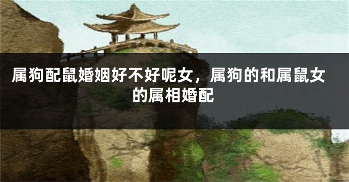 属狗配鼠婚姻好不好呢女，属狗的和属鼠女的属相婚配