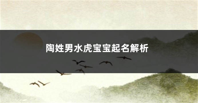 陶姓男水虎宝宝起名解析