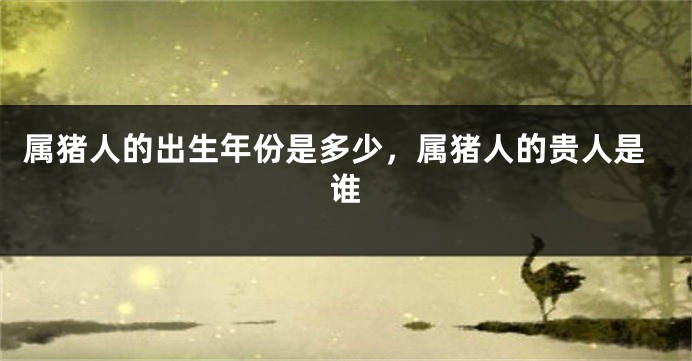 属猪人的出生年份是多少,属猪人的贵人是谁