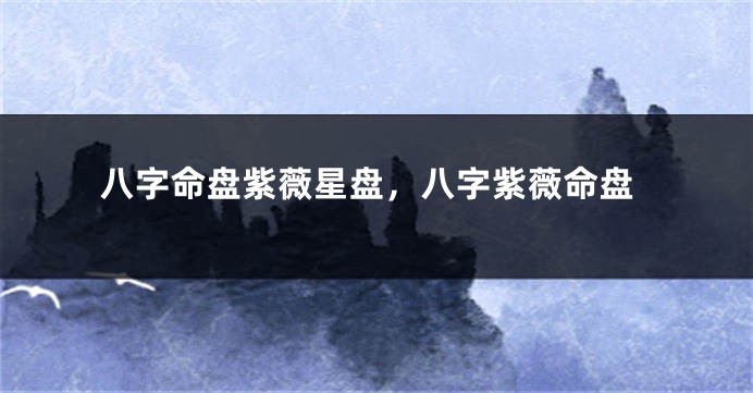 八字命盘紫薇星盘，八字紫薇命盘