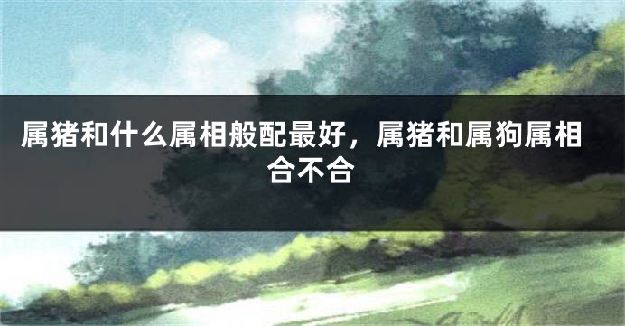 属猪和什么属相般配最好，属猪和属狗属相合不合