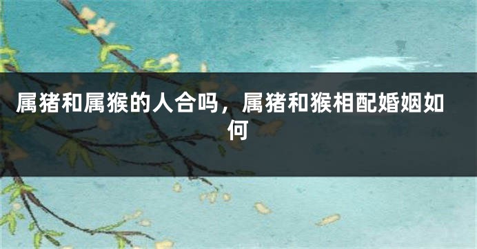 属猪和属猴的人合吗，属猪和猴相配婚姻如何