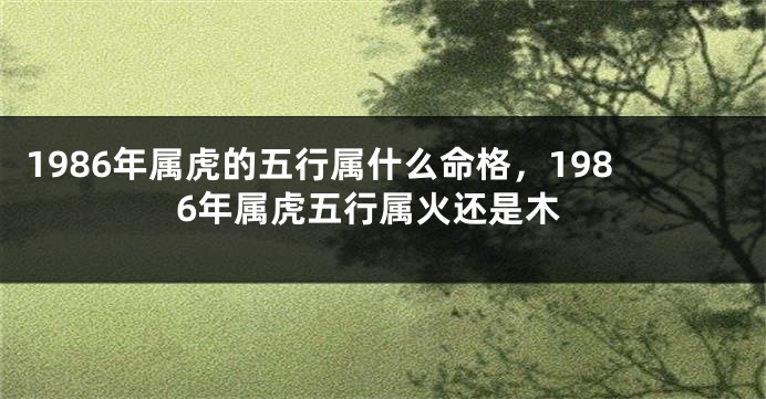 1986年属虎的五行属什么命格，1986年属虎五行属火还是木