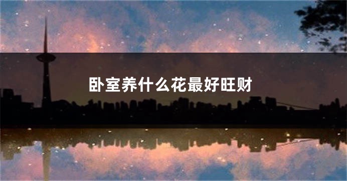 卧室养什么花最好旺财