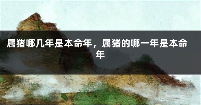 属猪哪几年是本命年，属猪的哪一年是本命年