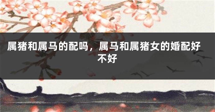属猪和属马的配吗，属马和属猪女的婚配好不好