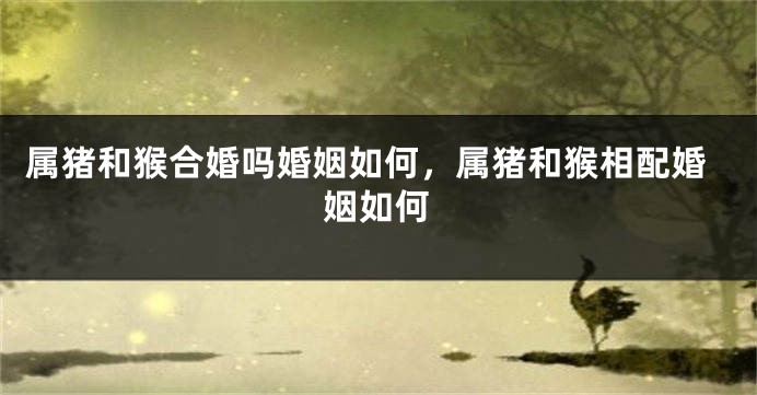 属猪和猴合婚吗婚姻如何，属猪和猴相配婚姻如何