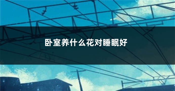 卧室养什么花对睡眠好