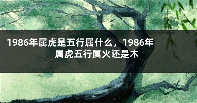 1986年属虎是五行属什么，1986年属虎五行属火还是木