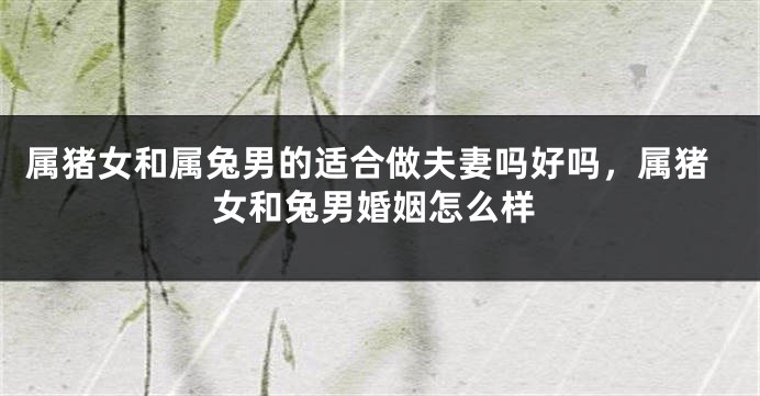 属猪女和属兔男的适合做夫妻吗好吗，属猪女和兔男婚姻怎么样