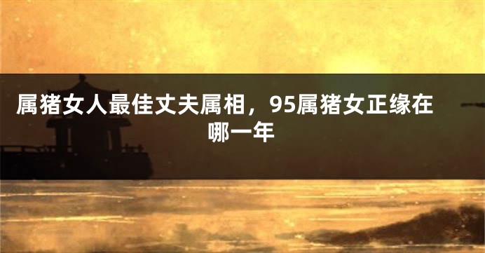 属猪女人最佳丈夫属相，95属猪女正缘在哪一年