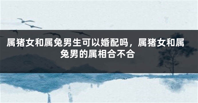 属猪女和属兔男生可以婚配吗，属猪女和属兔男的属相合不合