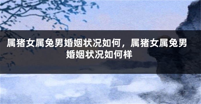 属猪女属兔男婚姻状况如何，属猪女属兔男婚姻状况如何样