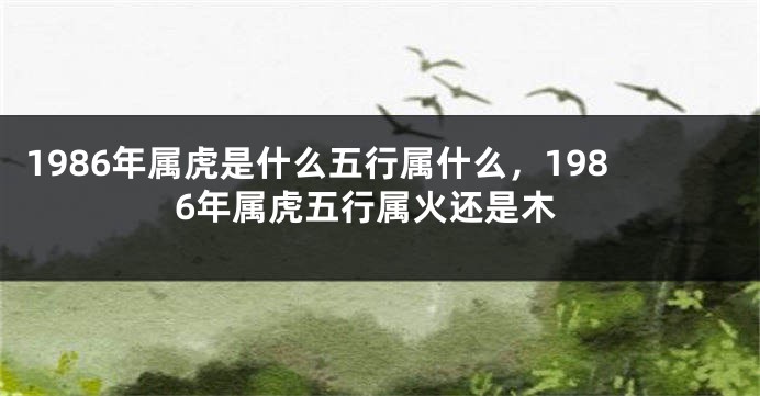 1986年属虎是什么五行属什么，1986年属虎五行属火还是木