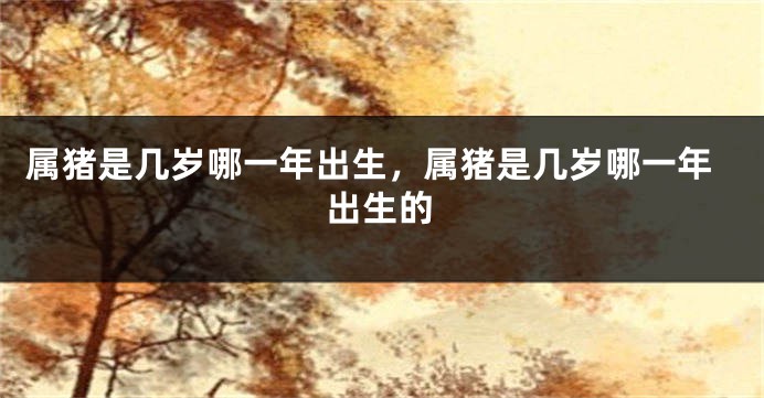 属猪是几岁哪一年出生，属猪是几岁哪一年出生的