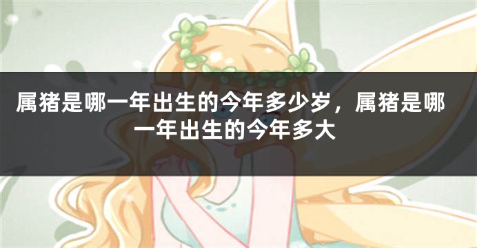 属猪是哪一年出生的今年多少岁，属猪是哪一年出生的今年多大