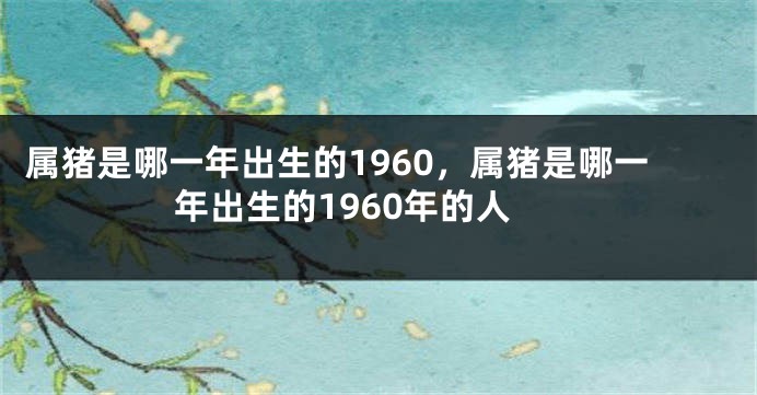 属猪是哪一年出生的1960，属猪是哪一年出生的1960年的人