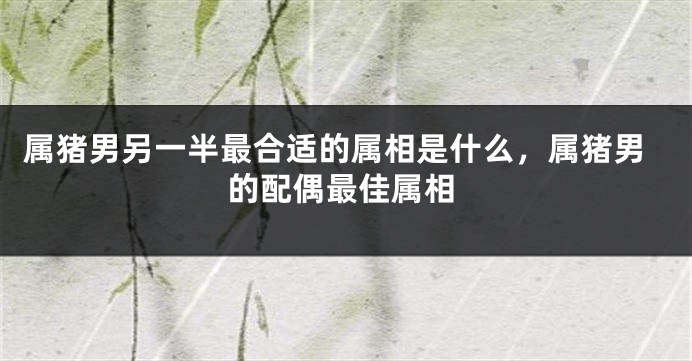 属猪男另一半最合适的属相是什么,属猪男的配偶最佳属相