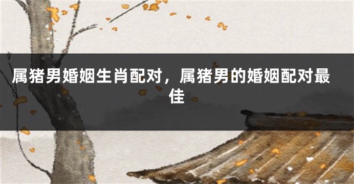 属猪男婚姻生肖配对，属猪男的婚姻配对最佳