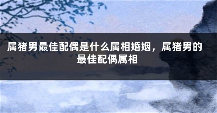 属猪男最佳配偶是什么属相婚姻，属猪男的最佳配偶属相