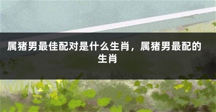 属猪男最佳配对是什么生肖，属猪男最配的生肖