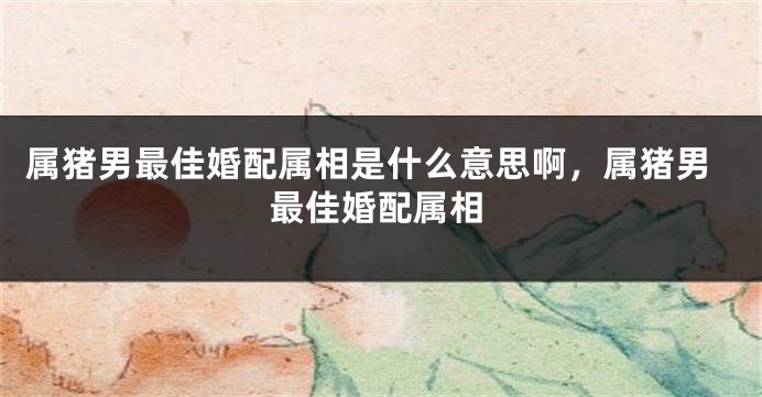 属猪男最佳婚配属相是什么意思啊，属猪男最佳婚配属相