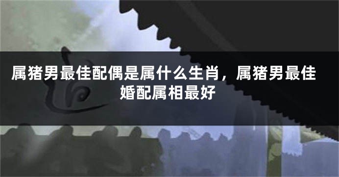 属猪男最佳配偶是属什么生肖，属猪男最佳婚配属相最好