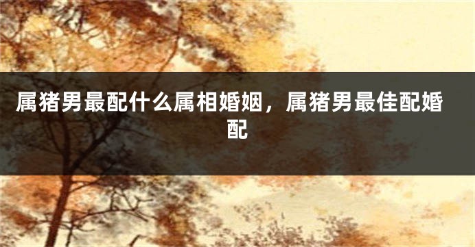 属猪男最配什么属相婚姻，属猪男最佳配婚配