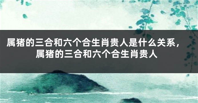 属猪的三合和六个合生肖贵人是什么关系，属猪的三合和六个合生肖贵人