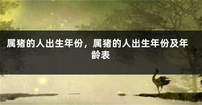 属猪的人出生年份,属猪的人出生年份及年龄表