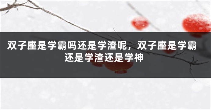 双子座是学霸吗还是学渣呢，双子座是学霸还是学渣还是学神