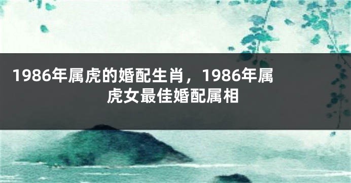 1986年属虎的婚配生肖，1986年属虎女最佳婚配属相
