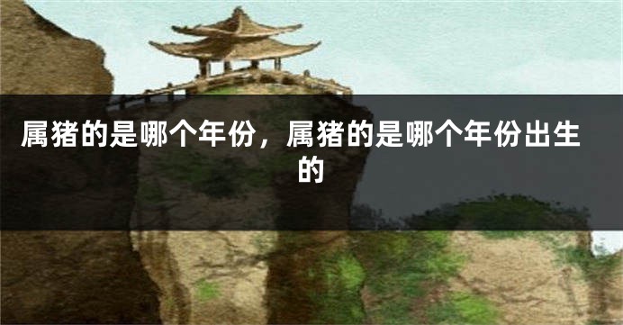 属猪的是哪个年份,属猪的是哪个年份出生的