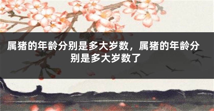 属猪的年龄分别是多大岁数，属猪的年龄分别是多大岁数了