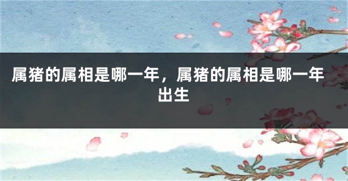 属猪的属相是哪一年，属猪的属相是哪一年出生