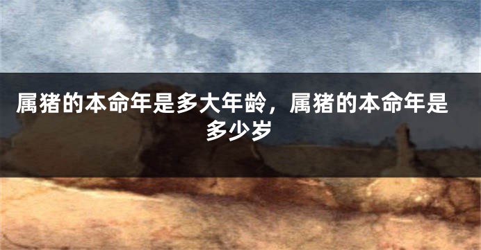 属猪的本命年是多大年龄，属猪的本命年是多少岁