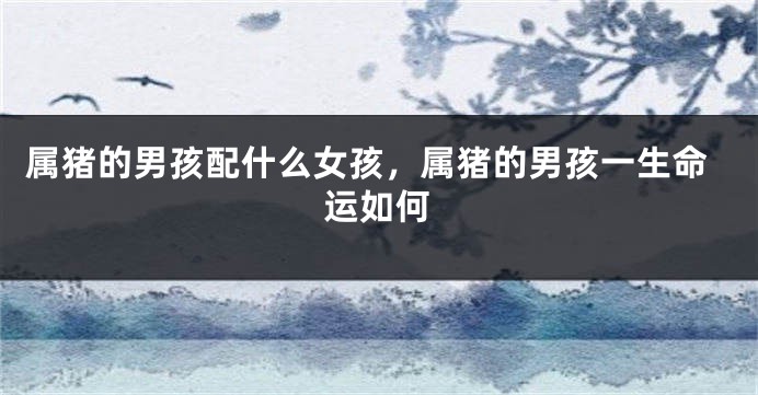 属猪的男孩配什么女孩，属猪的男孩一生命运如何