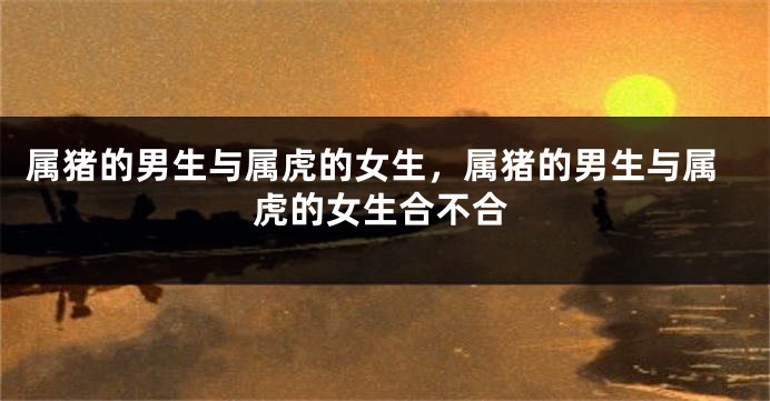 属猪的男生与属虎的女生，属猪的男生与属虎的女生合不合