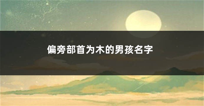 偏旁部首为木的男孩名字