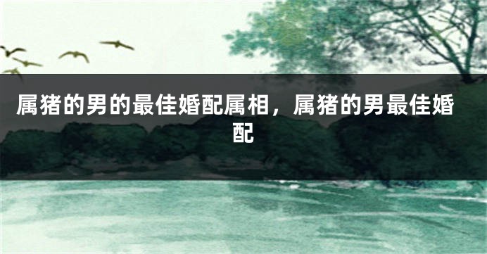 属猪的男的最佳婚配属相，属猪的男最佳婚配
