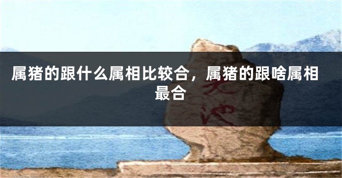 属猪的跟什么属相比较合，属猪的跟啥属相最合