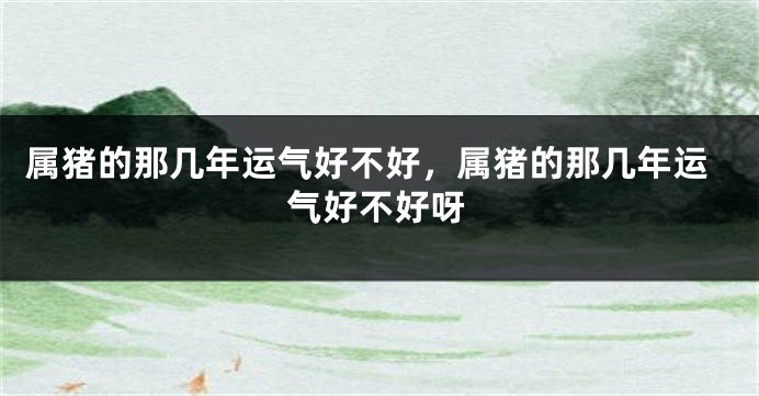 属猪的那几年运气好不好，属猪的那几年运气好不好呀