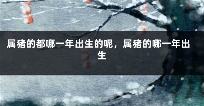 属猪的都哪一年出生的呢，属猪的哪一年出生