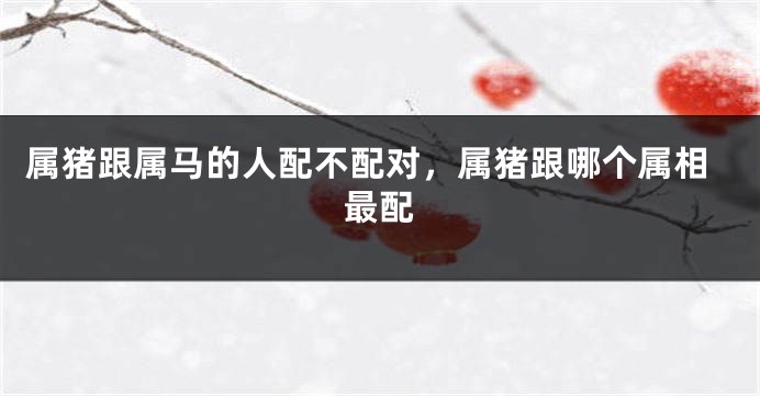 属猪跟属马的人配不配对，属猪跟哪个属相最配