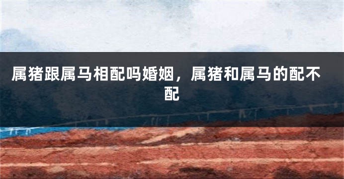 属猪跟属马相配吗婚姻，属猪和属马的配不配