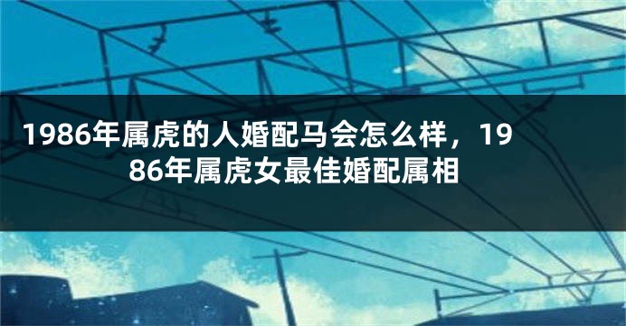 1986年属虎的人婚配马会怎么样，1986年属虎女最佳婚配属相